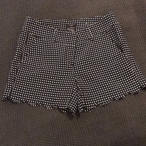 Ann Taylor Navy Blue Polka Dot Scallop Hem Shorts